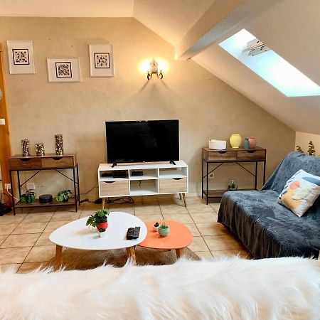 Charmant Appart Sous Toits Proche Chateau Des Ducs Chambéry Eksteriør bilde